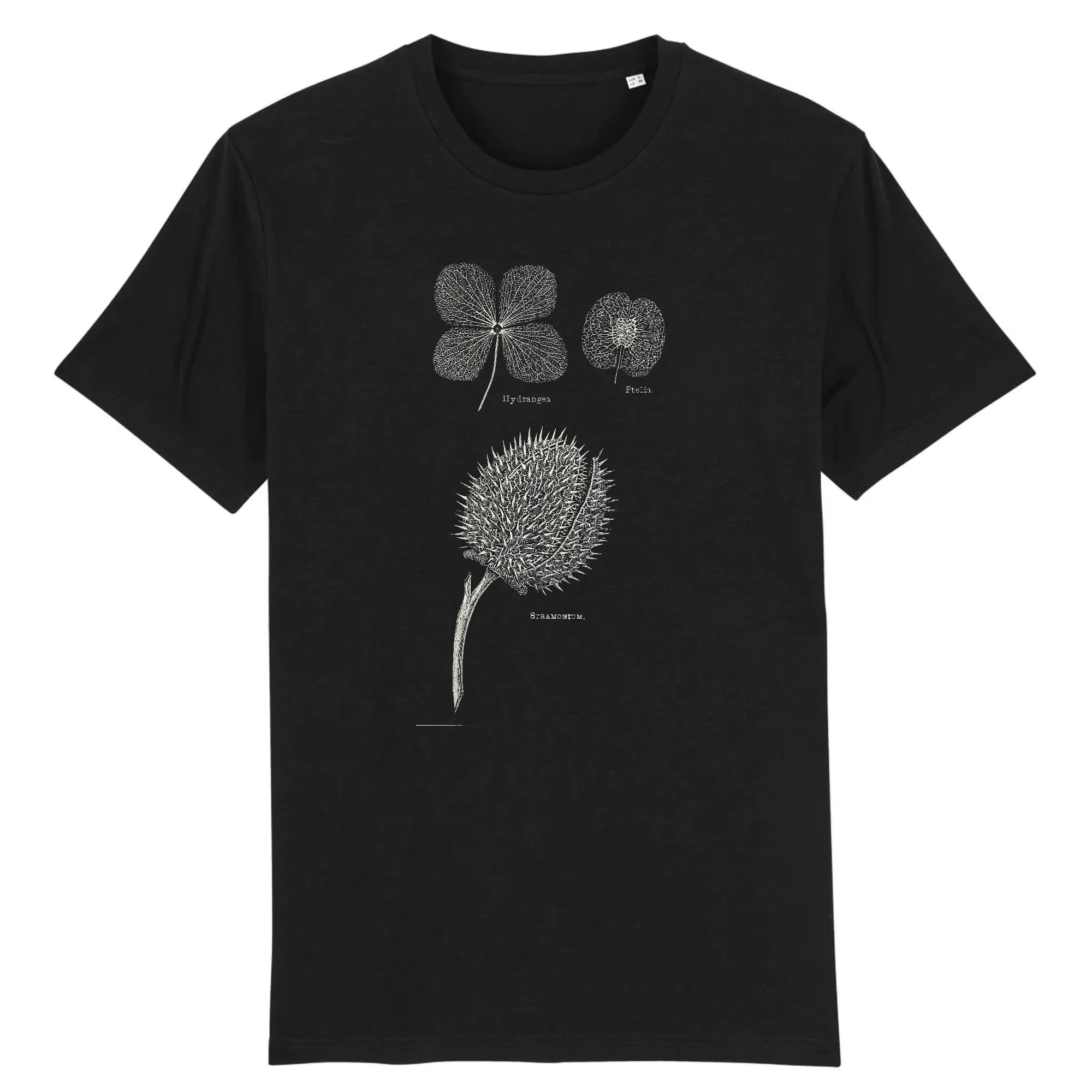 Hortensia, Ptelia, Stramonium, The Phantom Bouquet par August Wilhelm c. 1836 - Tee-shirt en coton bio