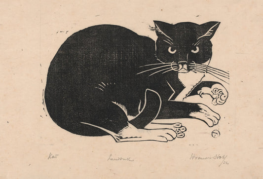 Cat by Henri van der Stok - Postcard