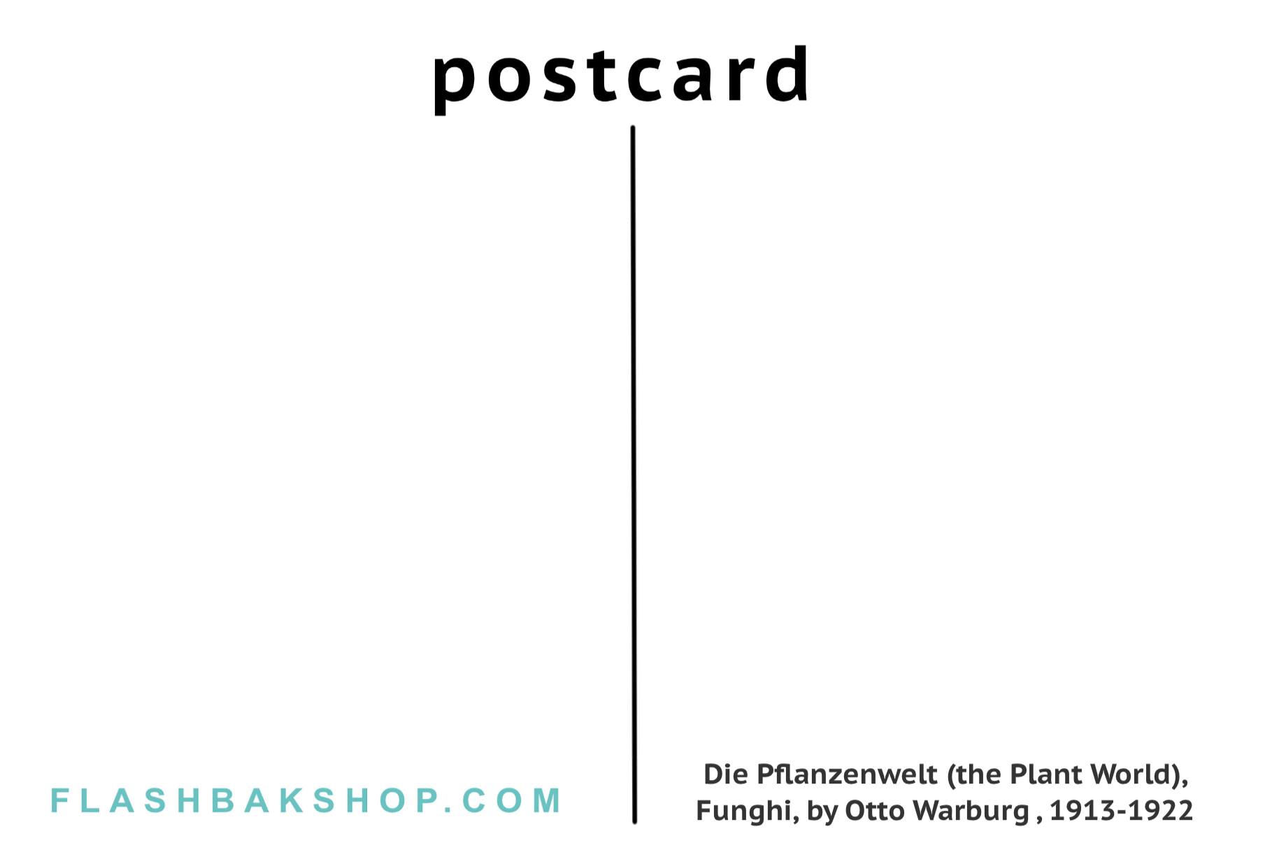 Die Pflanzenwelt (el mundo vegetal), Funghi de Otto Warburg, 1913-1922 - Postal