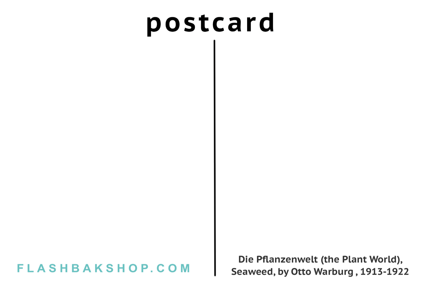 Die Pflanzenwelt (el mundo vegetal), algas marinas de Otto Warburg, 1913-1922 - Postal