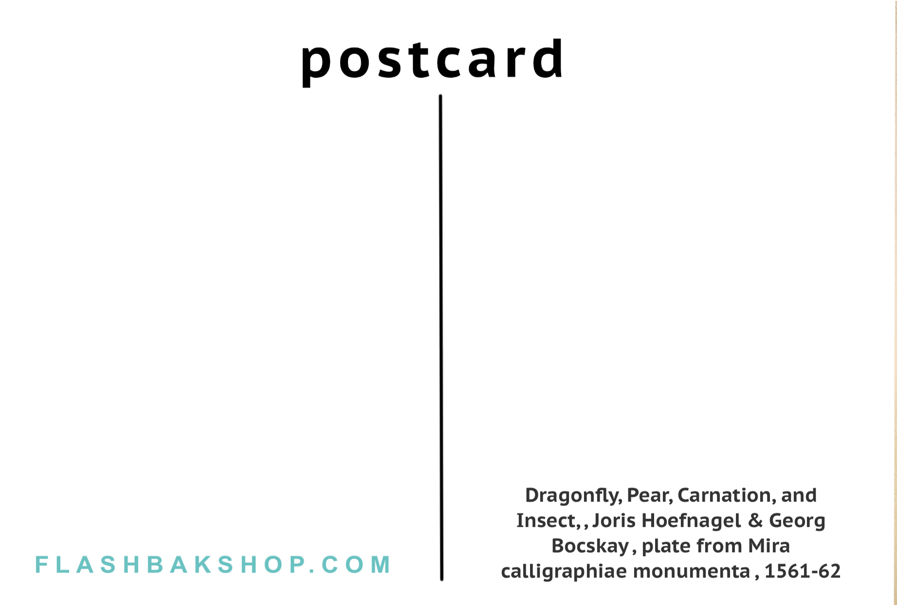 Libélula, pera, clavel e insecto de Joris Hoefnagel &amp; Georg Bocskay, 1561-62 - Postal