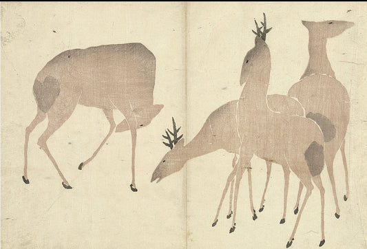 Quatre cerfs par Nakamura Hôchû 1826 - Carte postale