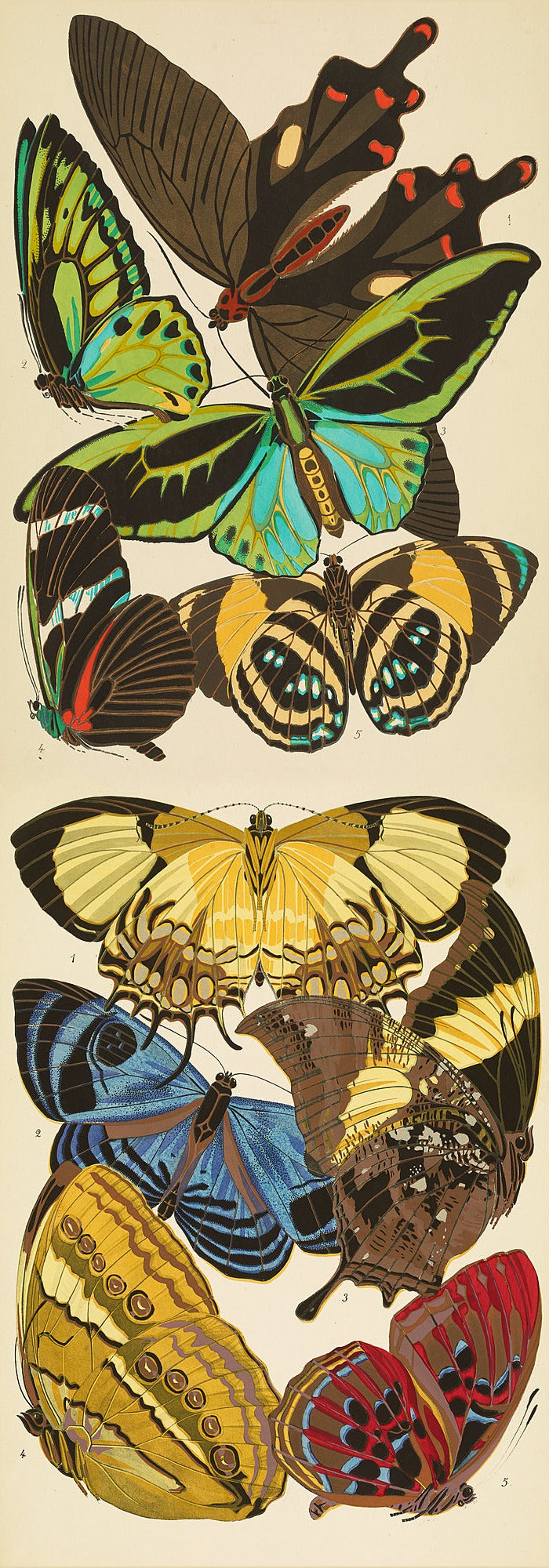 Papillons Plate 1 by EA Seguy - Wrapping Paper