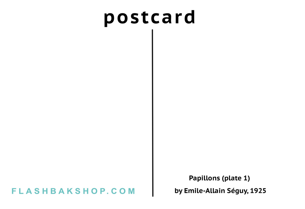 Papillons (plate 1) by Emile-Allain Séguy, 1925 - Postcard