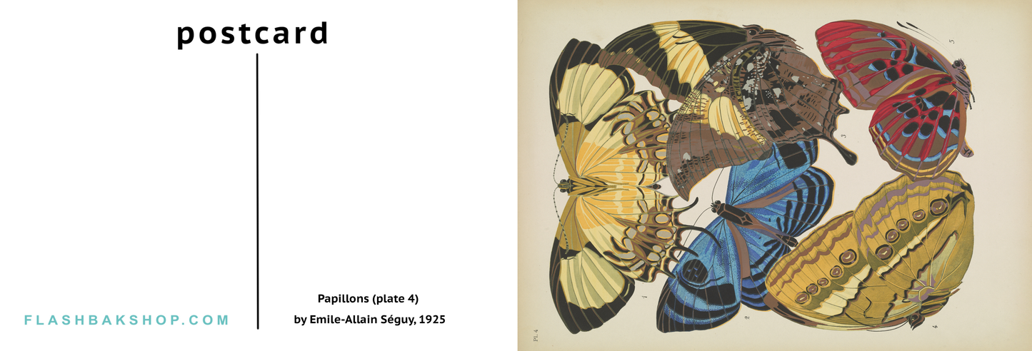 Papillons (planche 4) d'Emile-Allain Séguy, 1925 - Carte postale