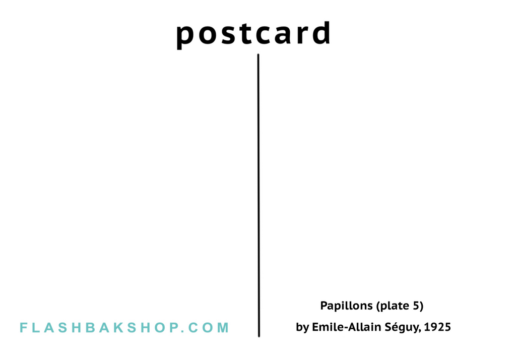 Papillons (plate 5) by Emile-Allain Séguy, 1925 - Postcard