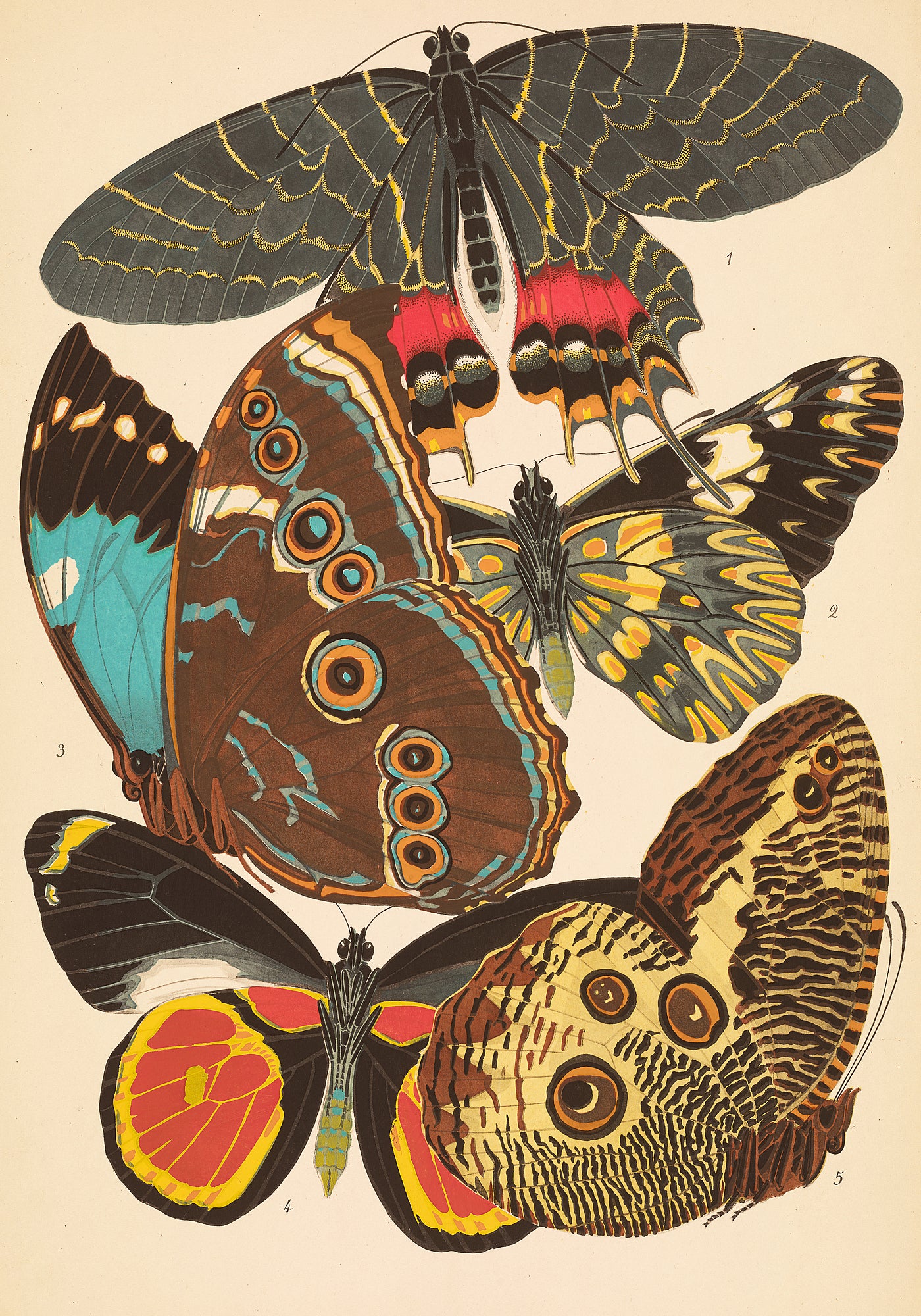 Papillons Plate 2 par EA Seguy - Papier d'emballage