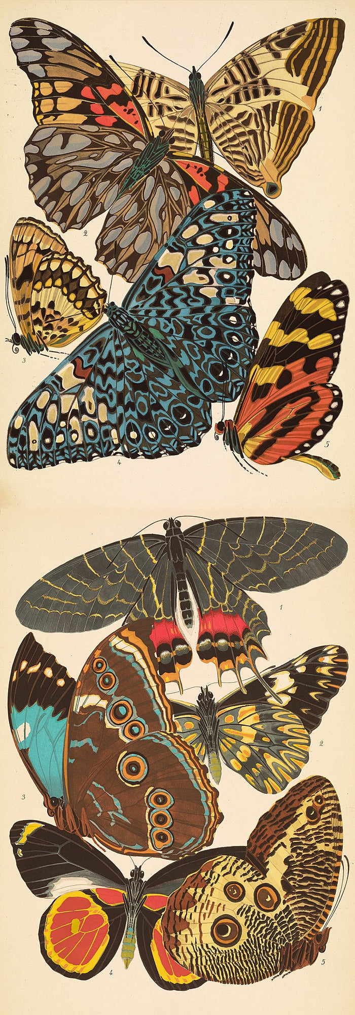 Papillons Plate 2 by EA Seguy - Wrapping Paper