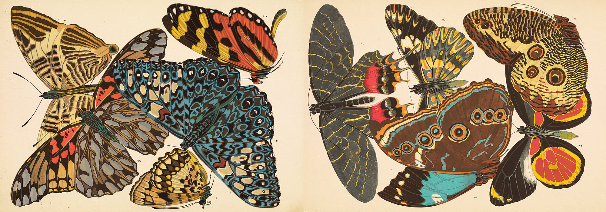 Papillons Plate 3 Seguy - Wrapping Paper