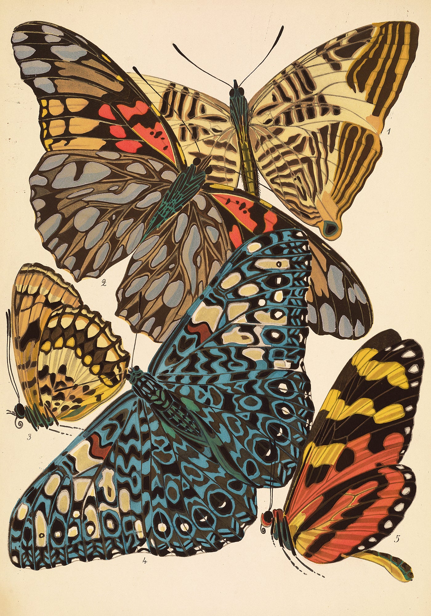 Papillons Plate 3 Seguy - Wrapping Paper