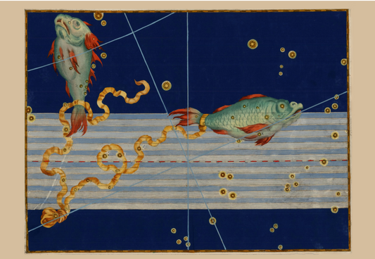 Pisces by Johann Bayer ' Augsburg, Germany, 1603 - Postcard