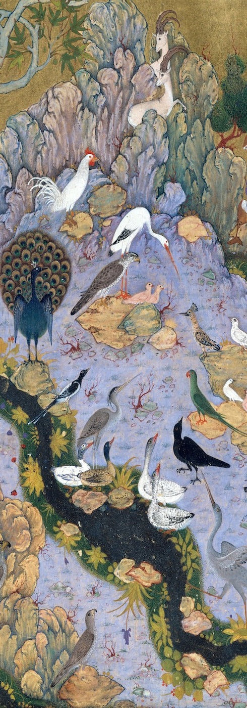 El concurso de los pájaros, Folio 11r de un Mantiq al-tair (Lenguaje de los pájaros) - Papel de regalo