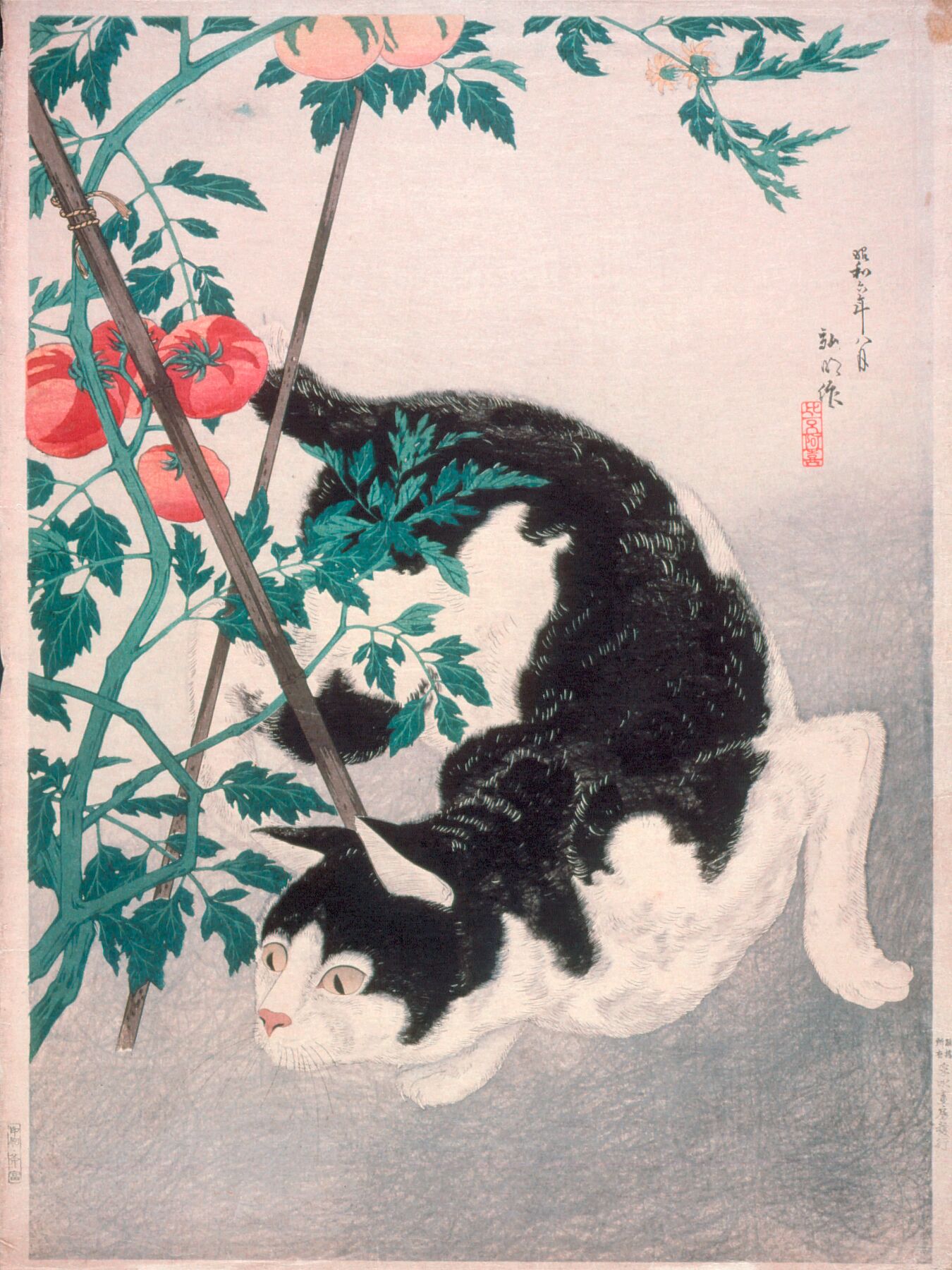 Cat with Tomato Plant Alternate (Title: Tomato to neko Takahashi Hiroaki (Japan, 1871-1945) - Japan, August, 1931