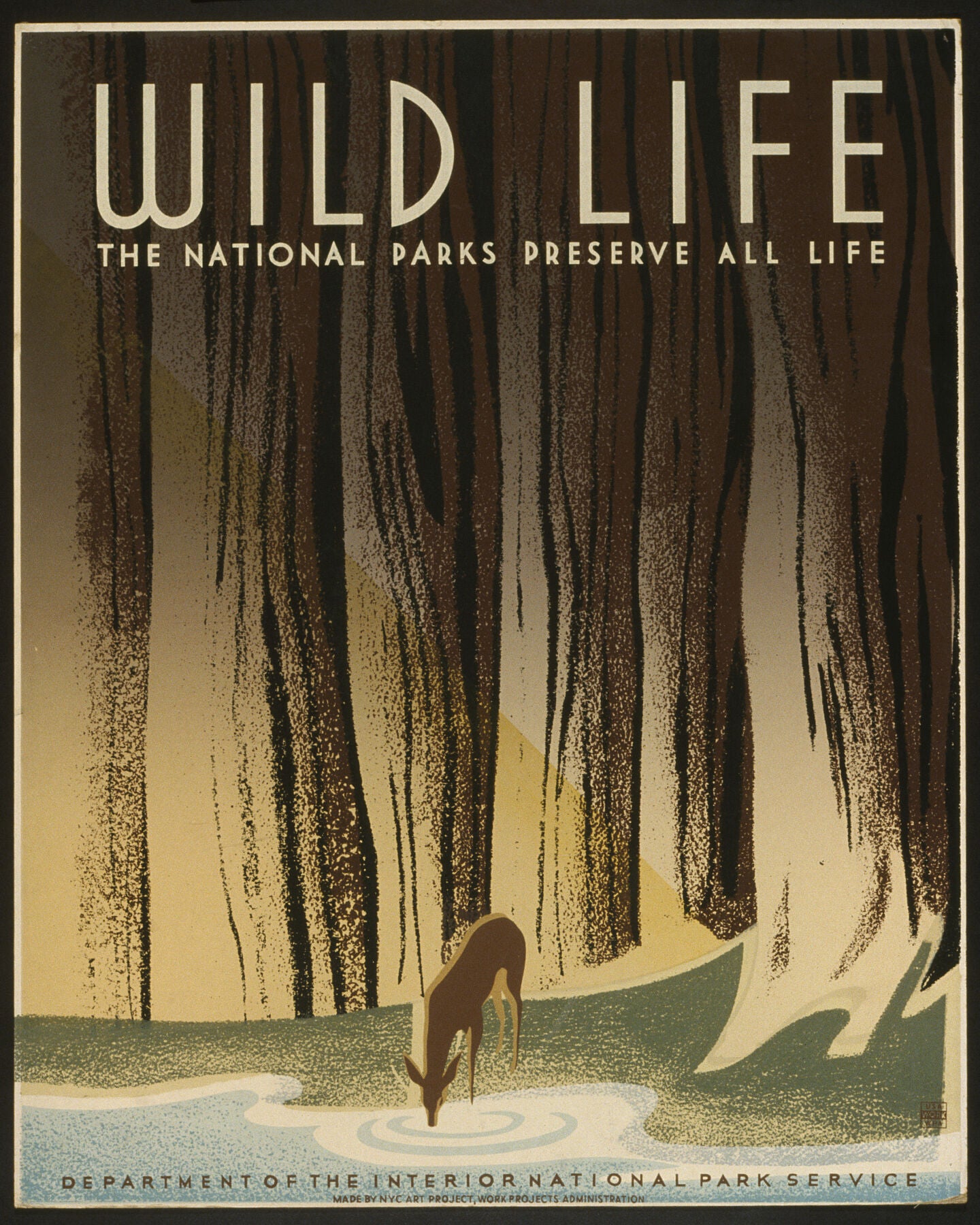 Poster for National Park Service, showing a deer drinking from a stream in the forest. c
