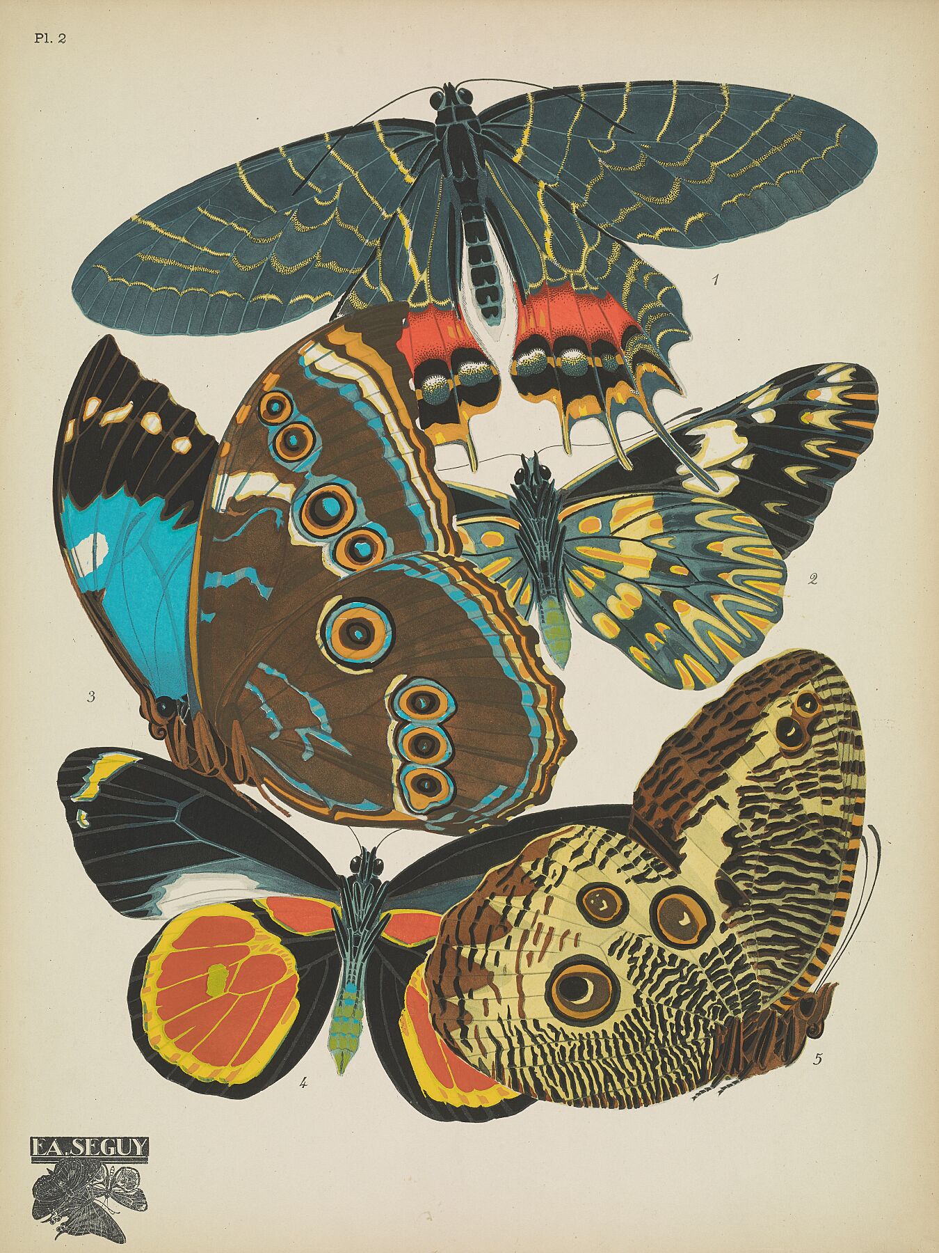 Papillons (planche 2) d'Emile-Allain Séguy - 1925 