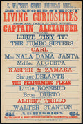 S. Watson's Grand American Museum, 28 Oxford Street - Living curiosities from all parts of the world - Captain Alexander, the giant of giants... [etc.] 1885