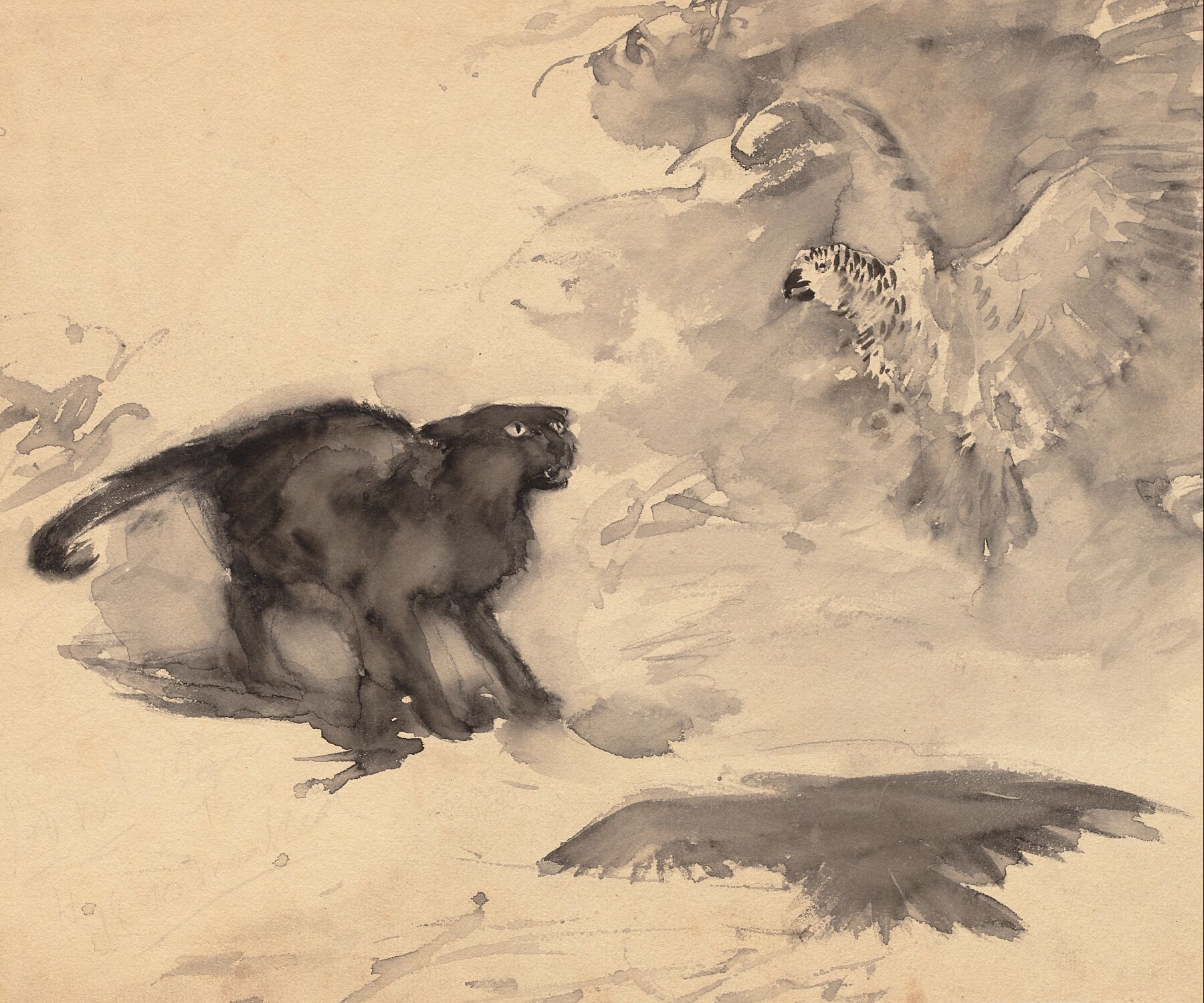 The Cat and the Eagle by Arthur Rackham - date unknown