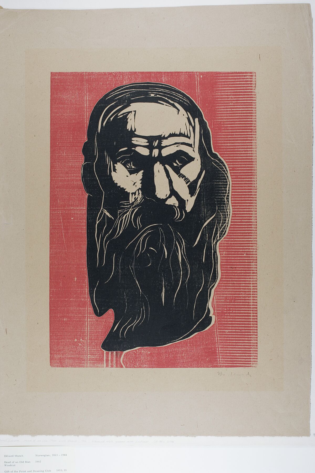 Head of an Old Man with Beard by Edvard Munch - 1902
