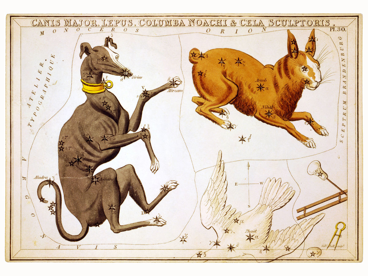 Canis Major, Lepus, Columba Noachi & Cela Sculptoris by Sidney Hall - 1825