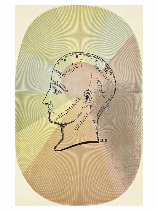 Los principios de la luz y el color de Edwin D. Bobbitt - 1878