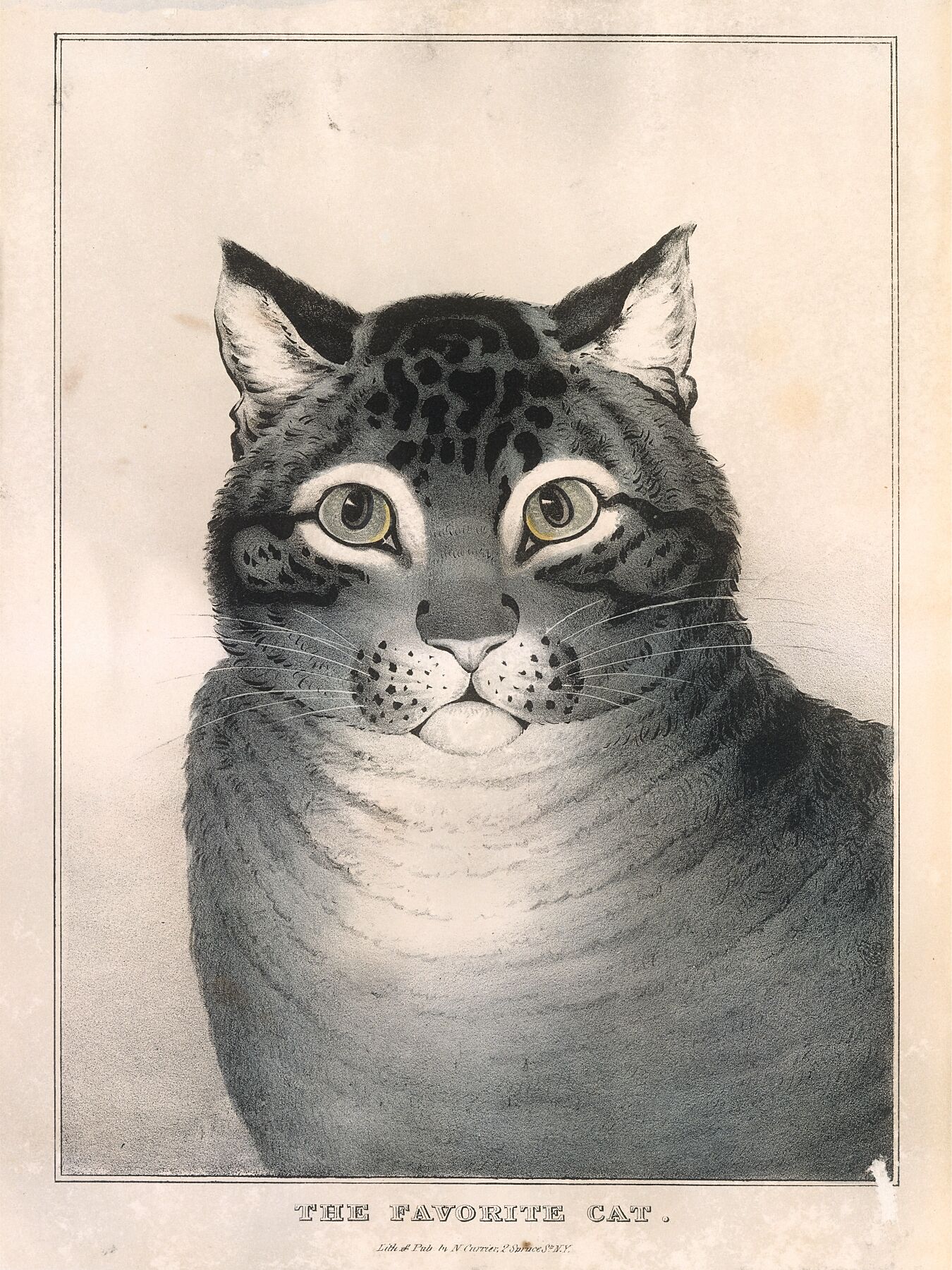 The Favorite Cat Lithographed and published by Nathaniel Currier - 1838–48 