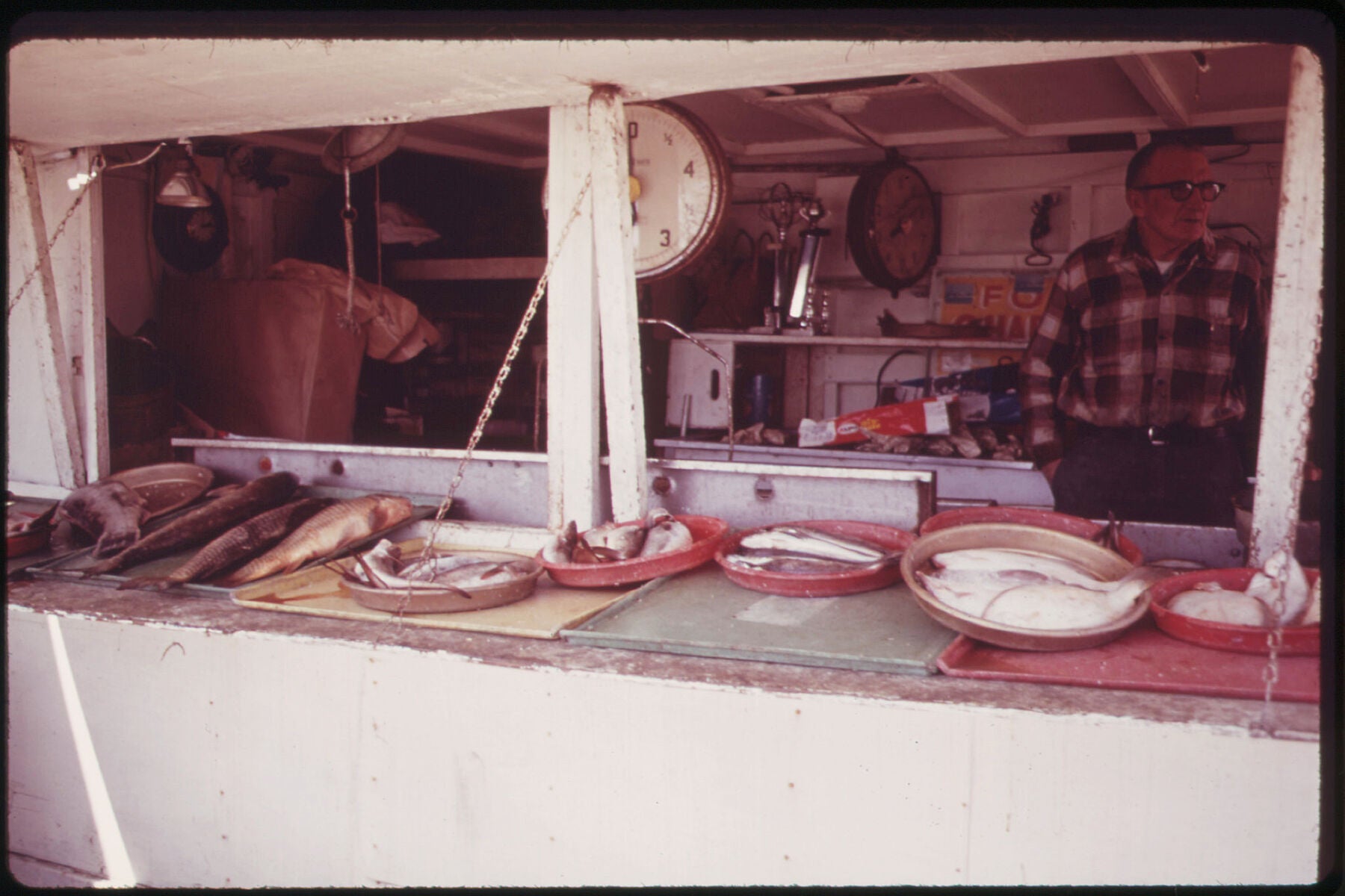 Sheepshead Bay Fish Store by Arthur Tress - 1973