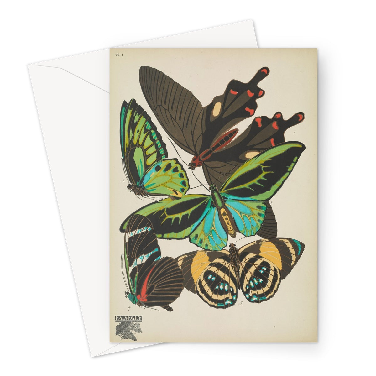 Papillons par EA Séguy - 1925 Carte de vœux