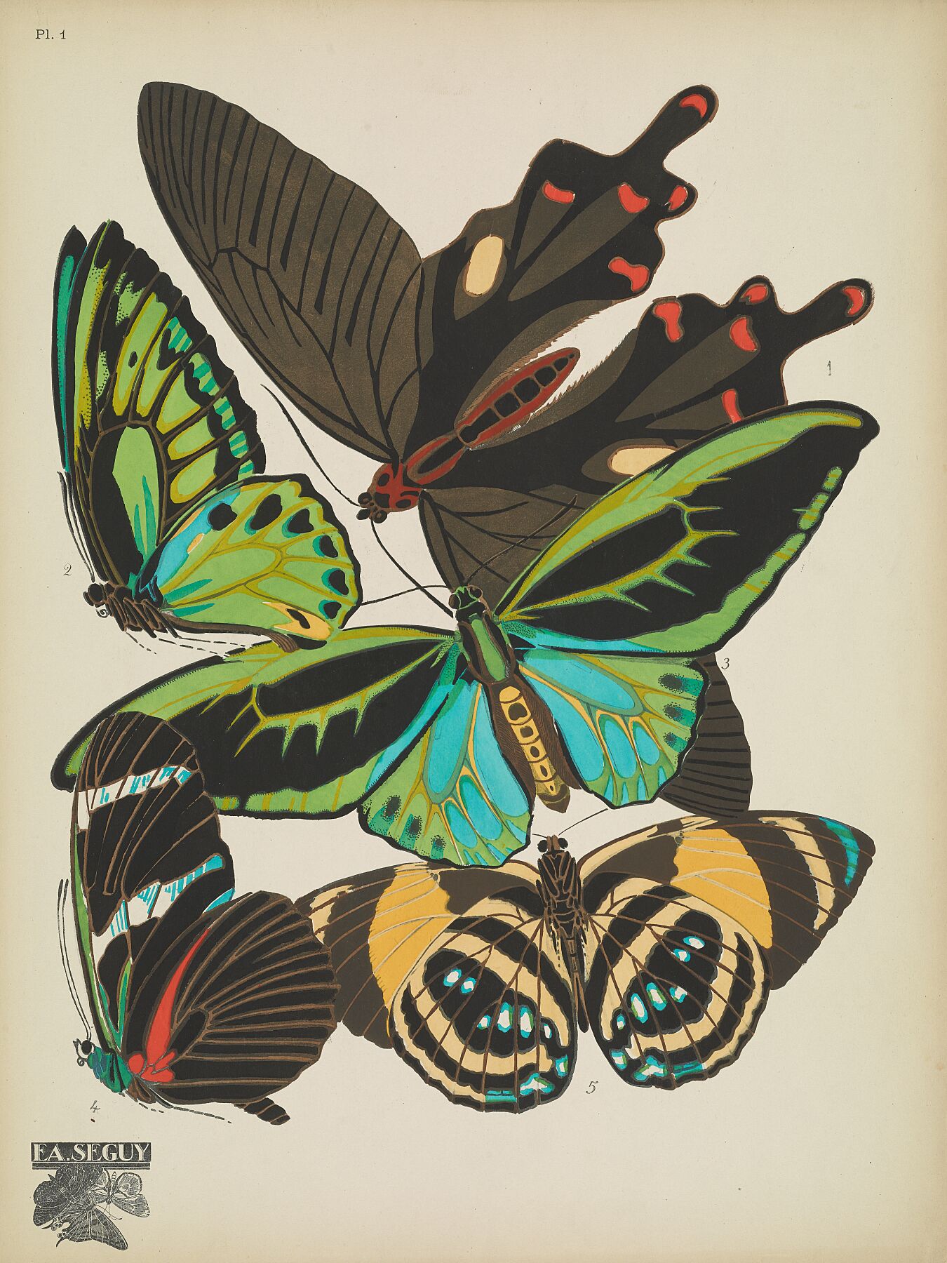 Papillons (lámina 1) de Emile-Allain Séguy, 1925