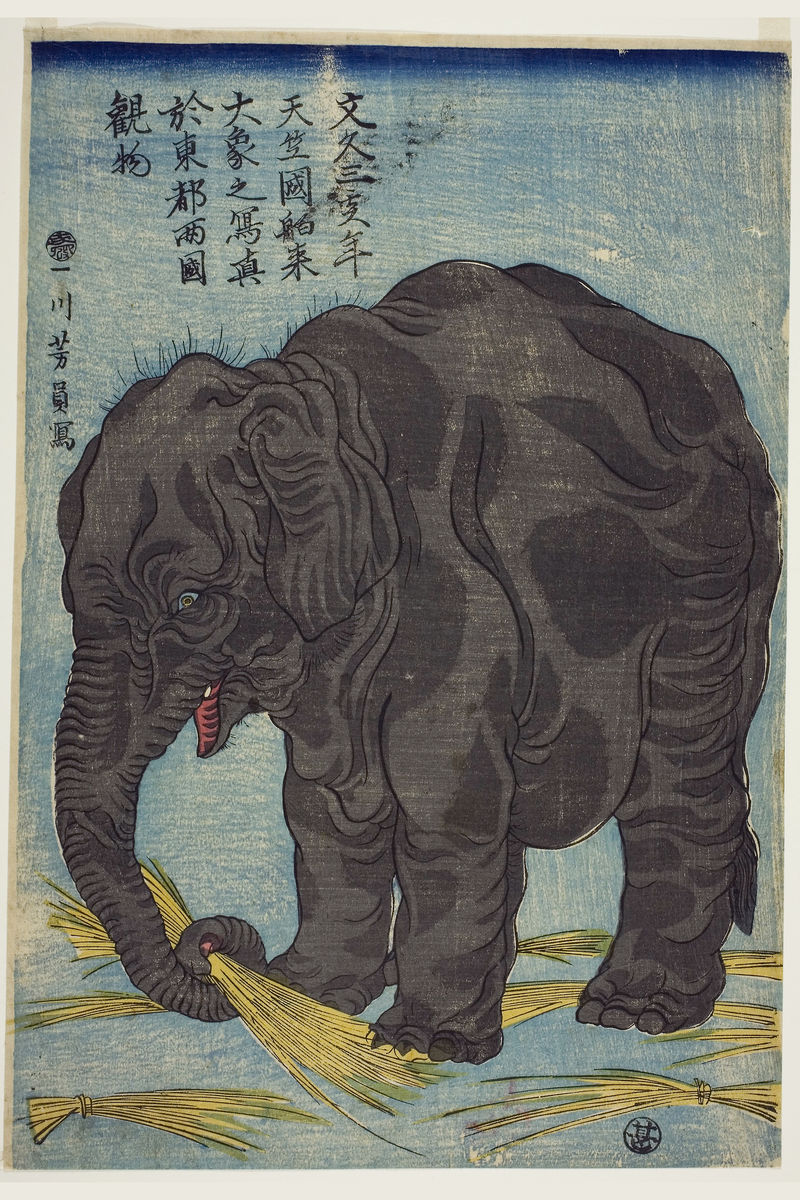 Imagen de elefante grande de la India por Utagawa Yoshikazu - 1863