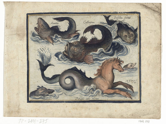 Fantastische Waterdieren, Onder Andere Zeepaard by Nicolaes de Bruyn - 1581-1656