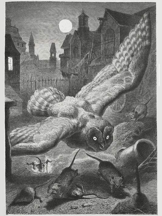 	 Bild aus Seite 733 in "Die Gartenlaube". Image from page 733 of journal Die Gartenlaube, 1879.