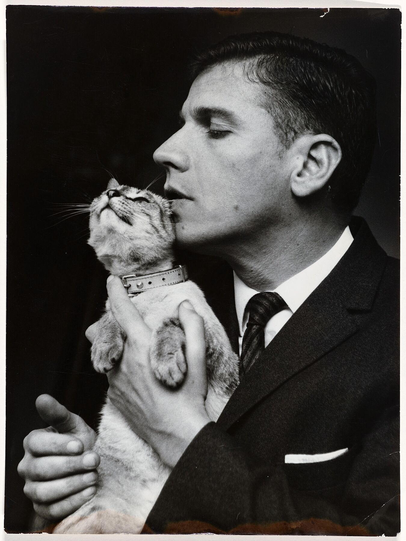 Gerard Reve with the half-Siamese cat Justine (named after De Sade), Anefo, 1968