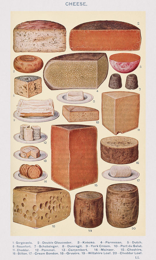 Cheeses by Beeton's Book of Household Management - 1923