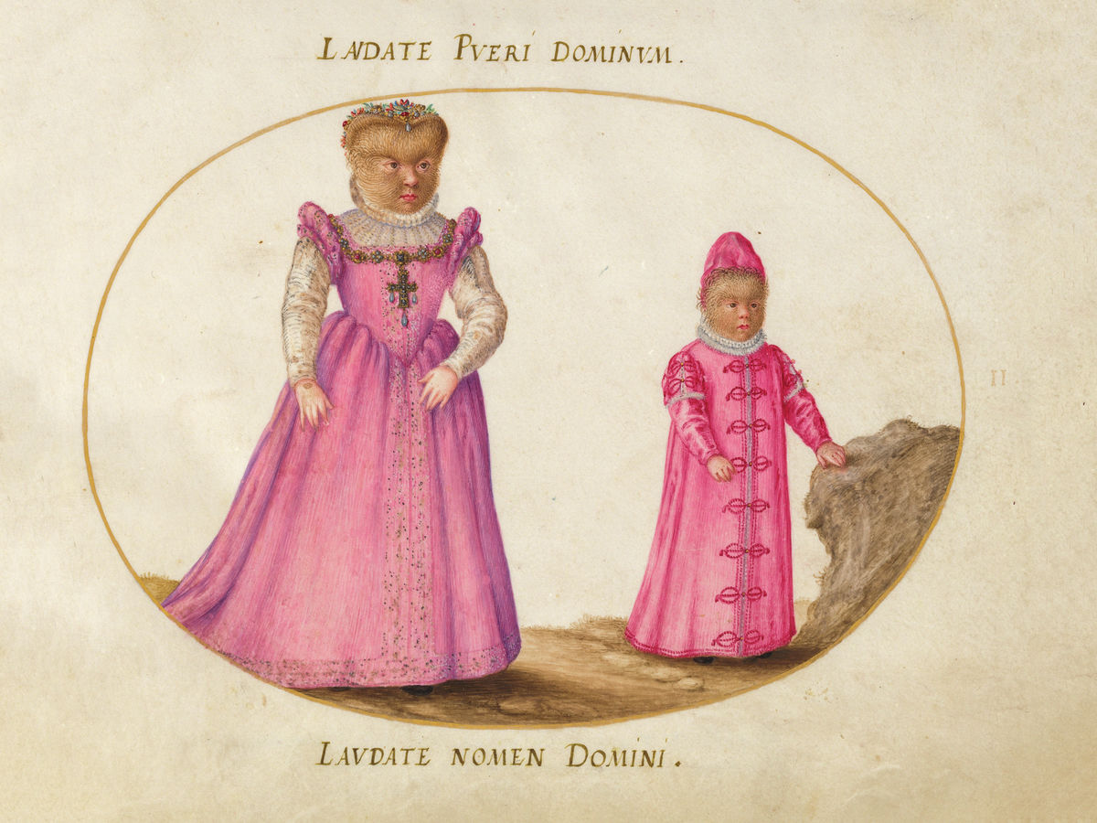 Animalia Rationalia et Insecta (Ignis), Plate II by Joris Hoefnagel - 1575