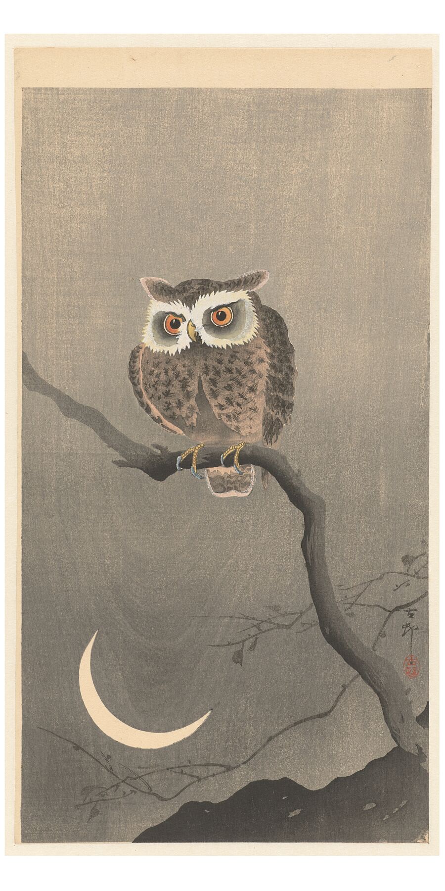 Long-eared owl on bare tree branch Ohara Koson - 1900-1930