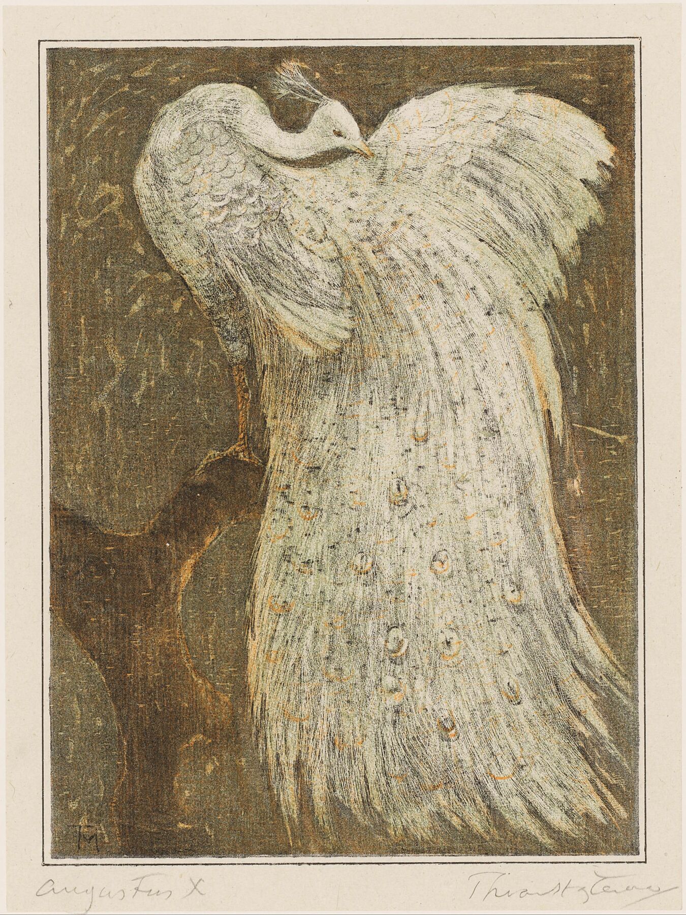 White Peacock on a Branch, Theo van Hoytema - c.1890