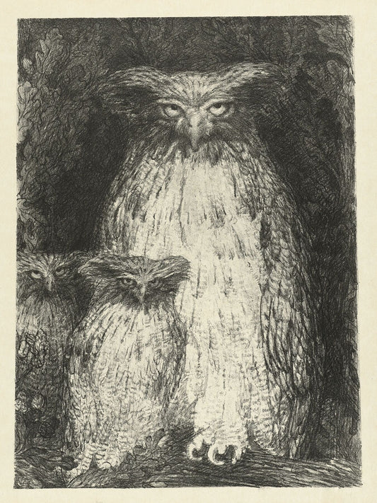 Owl With Two Owlets Sitting on a Branch by Henri De Groux - 1895