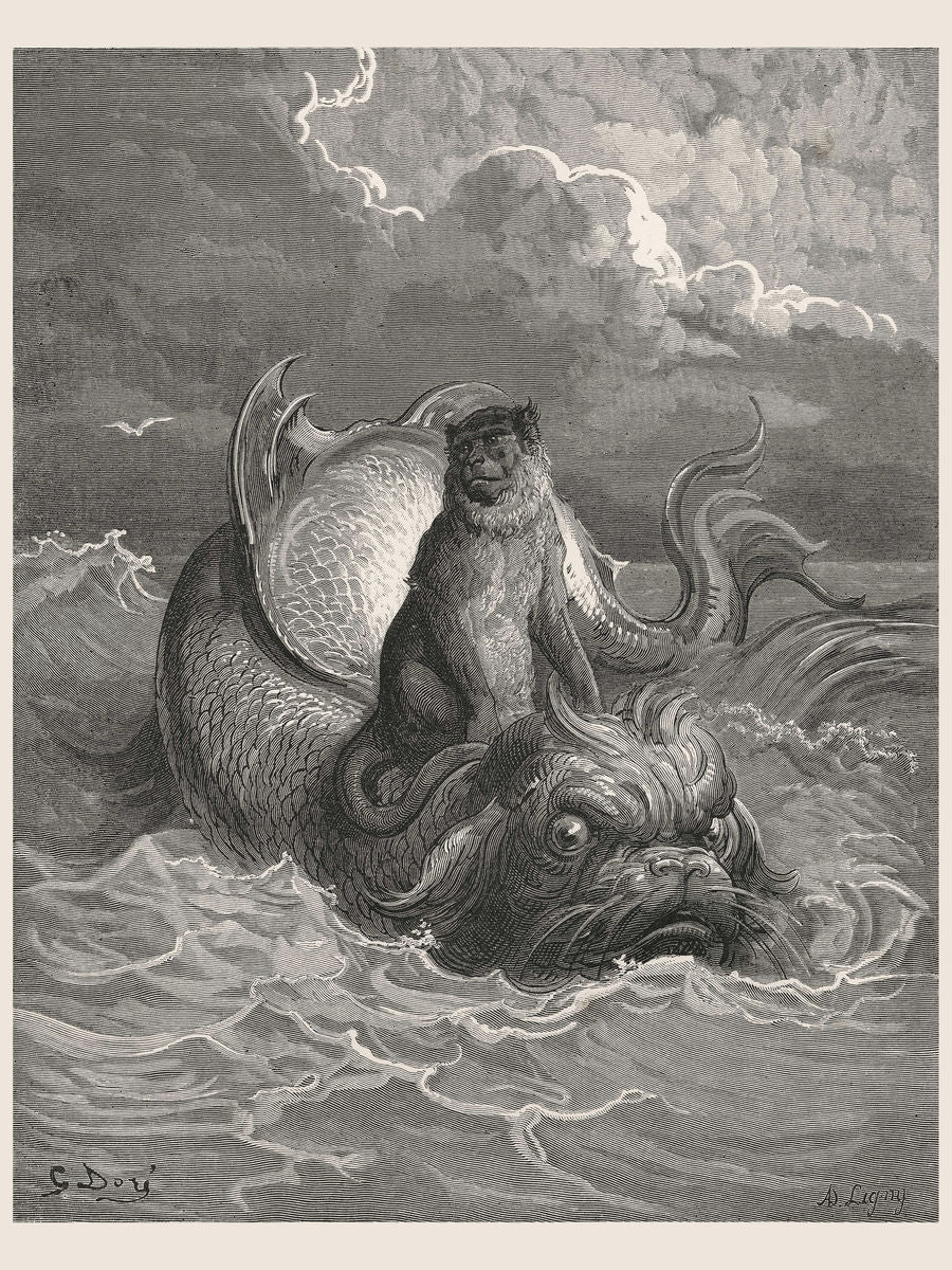 Le singe et le dauphin de Gustave Doré - 1885