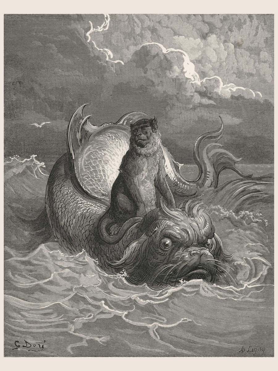 The Monkey and The Dolphin by Gustave Doré - 1885