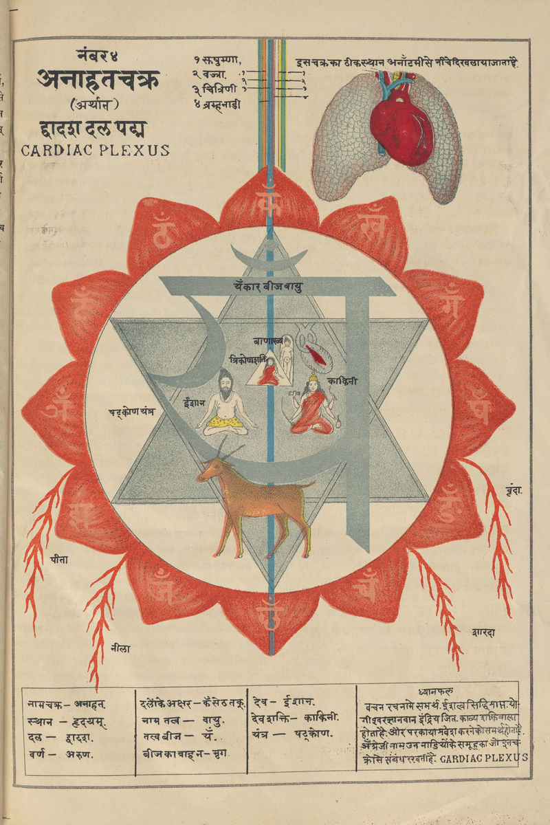 MS Sanskrit 391, Authored by Svami Hamsasvarupa - 1900s