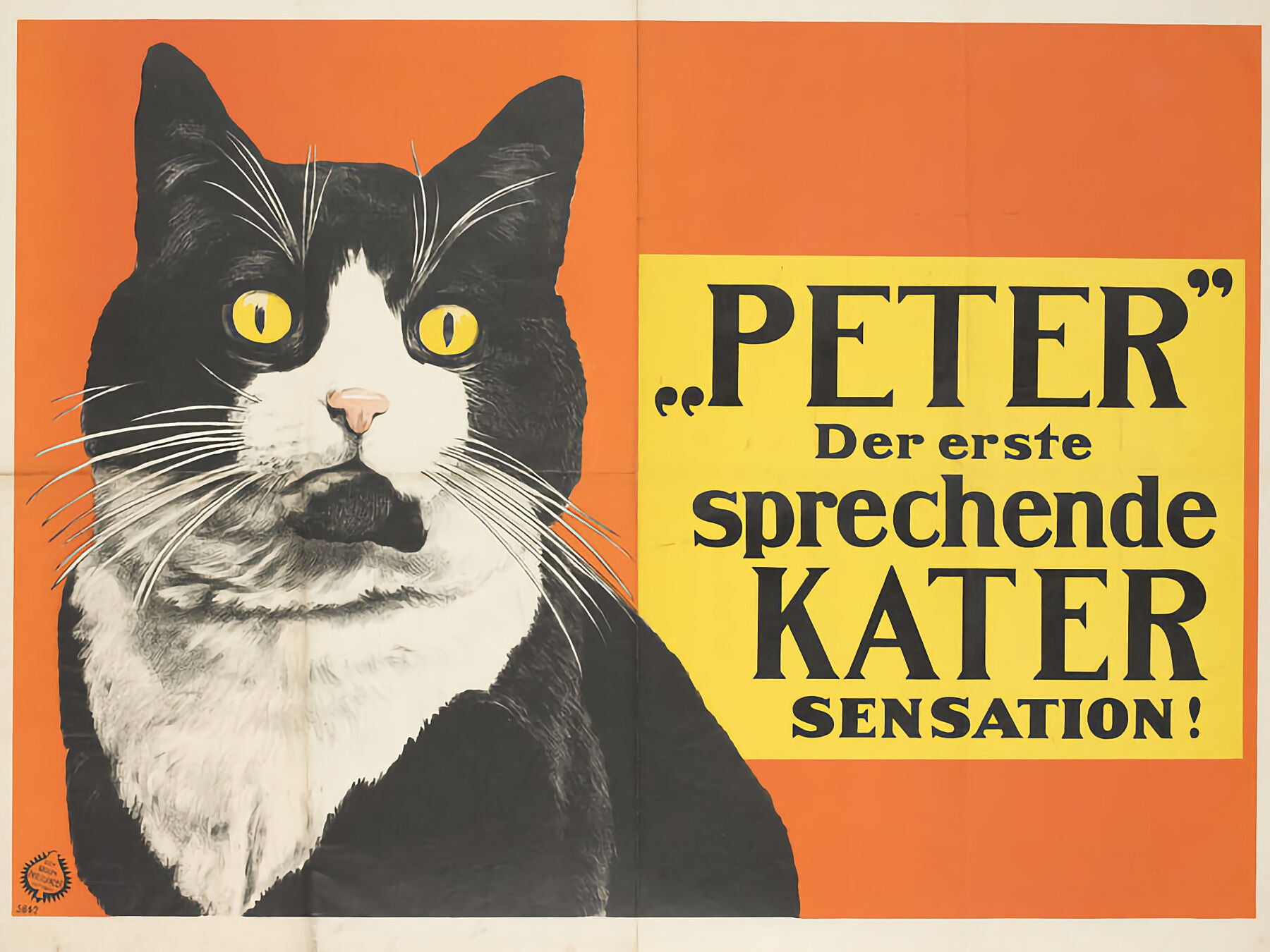 Adolph Friedländer, Peter - The first talking Tom Cat - sensation! (original title), c. 1913